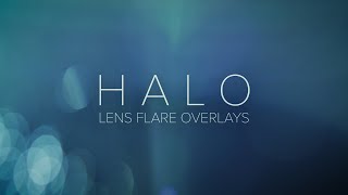 The Halo Collection: Organic Light Flare Overlays Shot on RED