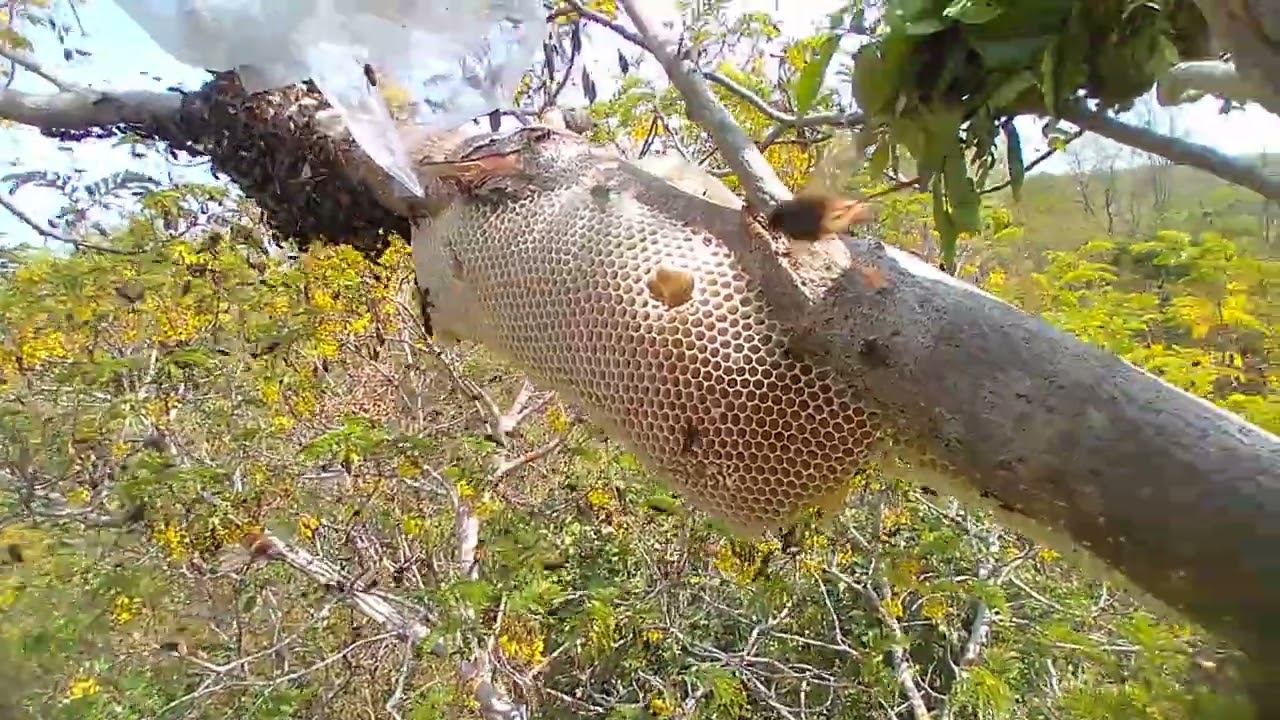 ว้าวสวยเลย