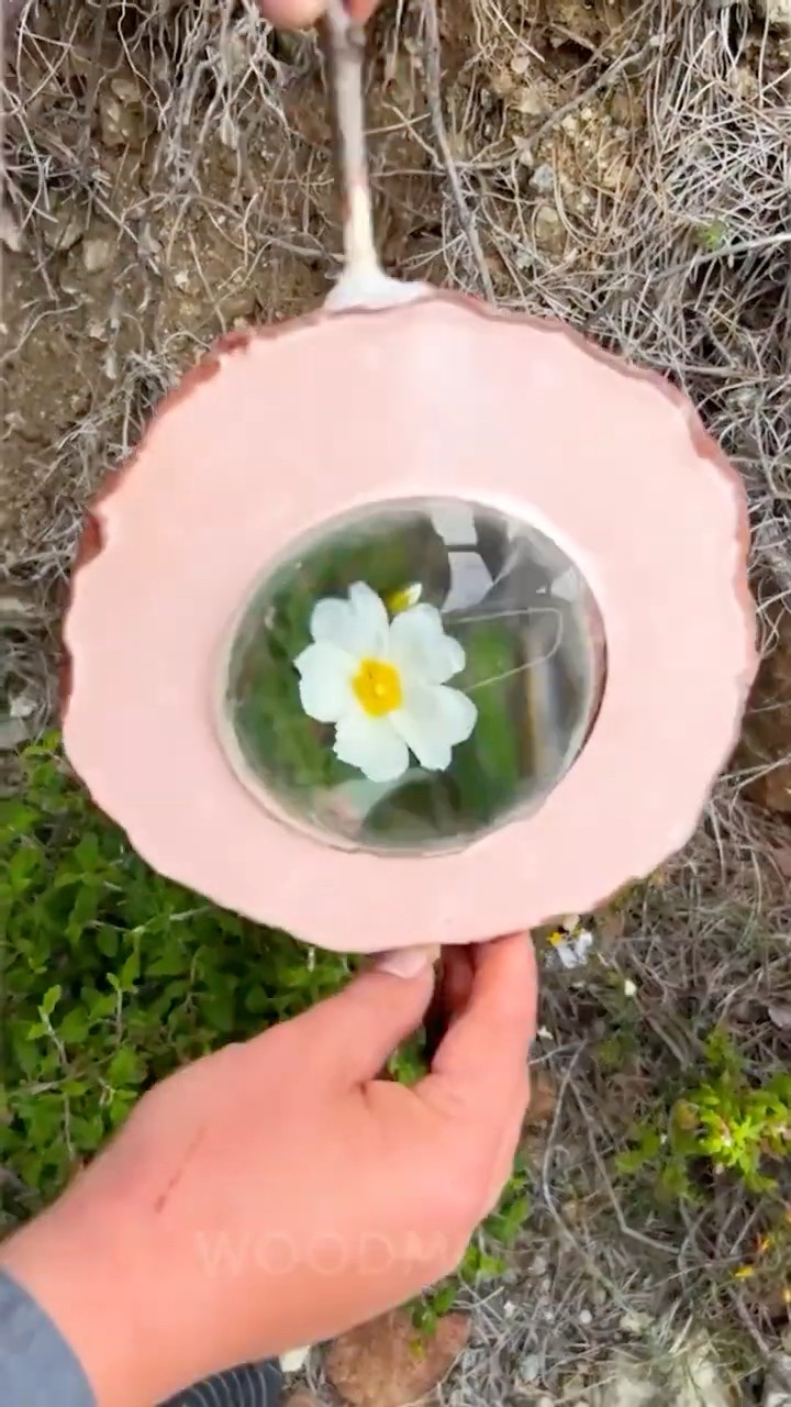 How to Turn Tree Matter into Glass with Science Magic!
