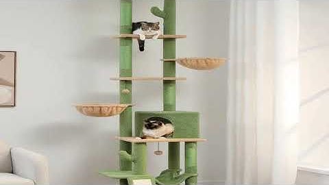 A must-have product! Cactus Cat Tree Floor to Ceiling Cat Tower 7 Tiers Cat Climbing Tree with Coz