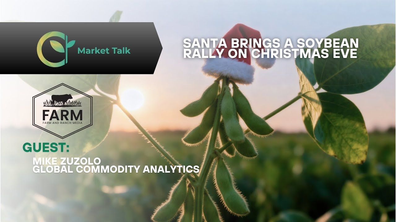 Santa Brings a Soybean Rally on Christmas Eve