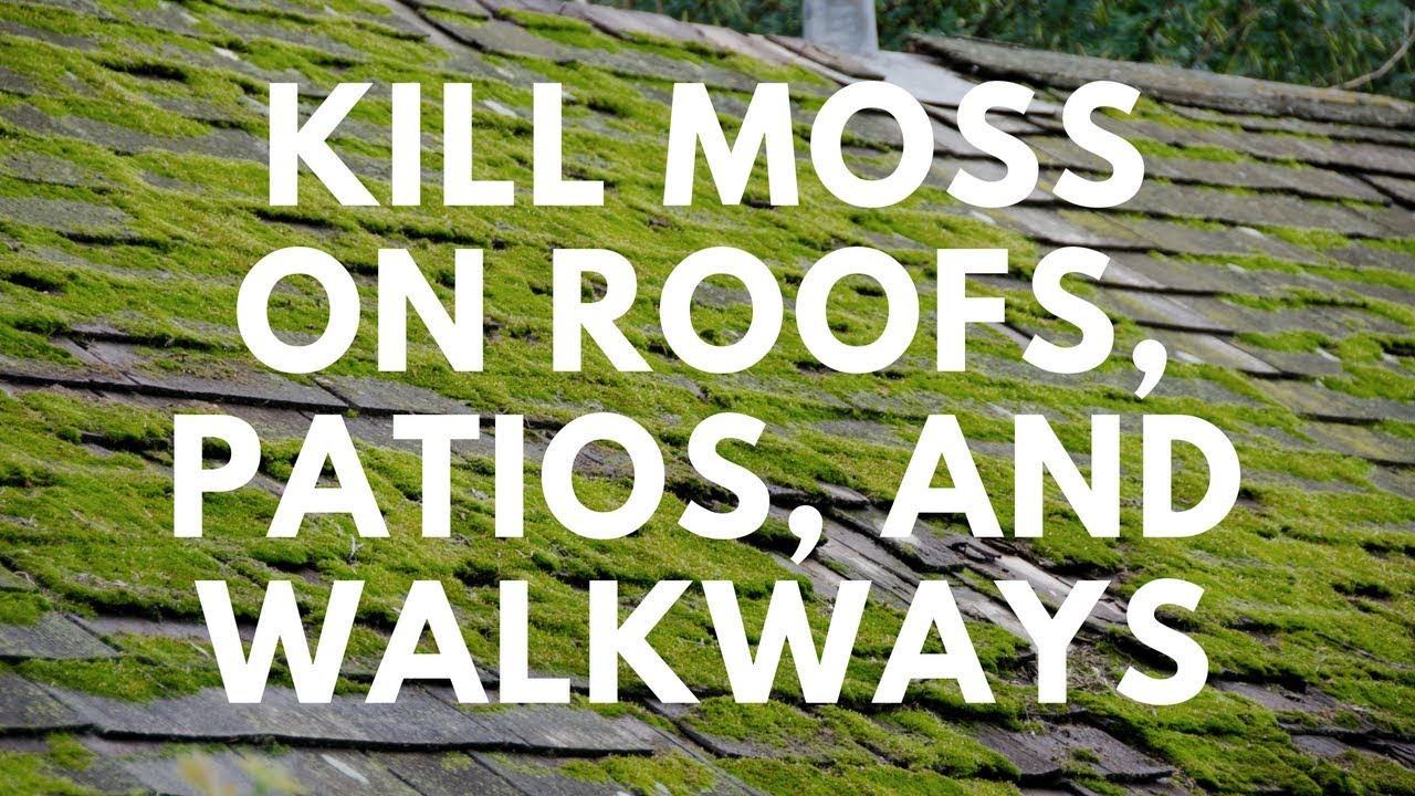 How To Kill Moss On Roofs Patios And Walkways MOSS B WARE YouTube