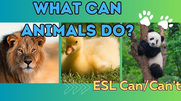 What Can Animals Do? - ESL Can / Can