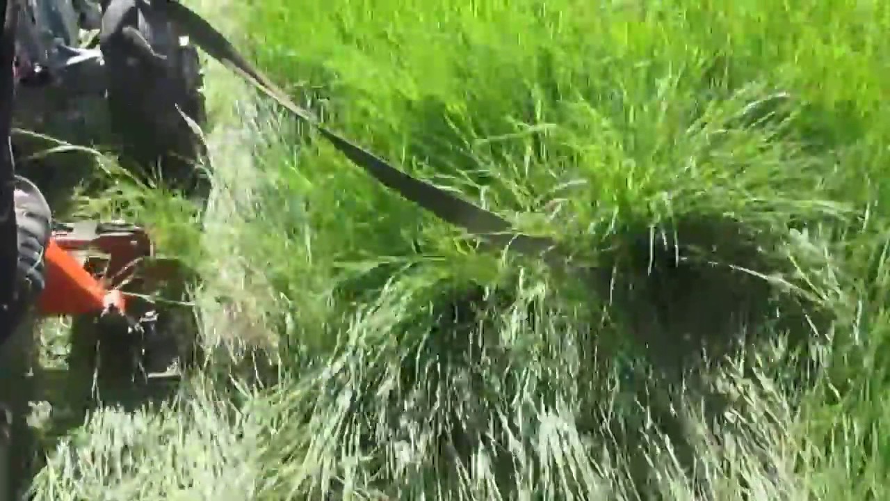 Покос травы на мотоблоке Сегментной косой 2016год - YouTube