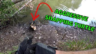 Removing AGGRESSIVE Turtle from Pond | SNAPPING TURTLE | B Fishing |
