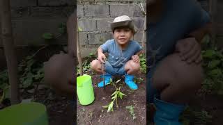 KINDERGARTEN PERFORMANCE TASK