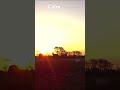 Sunrise vibes in the paddock #GoldenHour #MorningCalm #HorseLife #NatureShorts #PeacefulMoments