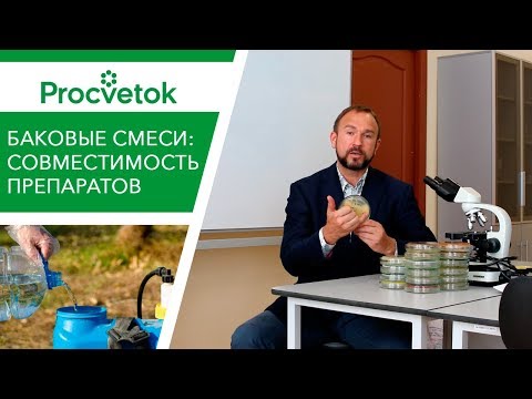 Видео: Фосфатовит® микробиологийн бордоо