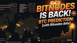 Bitnodes Finally Fixed! ⚡ How to Use It + Crypto Trading Tutorial (Beginner to Pro)