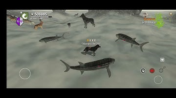 Wolf online Mod Points 8.0.6 Hack 2025 Link