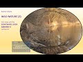 Wild Nature (2) - Second jam with the Sonicware Liven Ambient 0 synthesizer