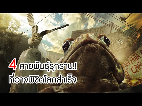 4 สายพันธุ์ ‘รุกราน’ ที่นักอนุรักษ์คิดว่า อาจพิชิตโลกสำเร็จ!