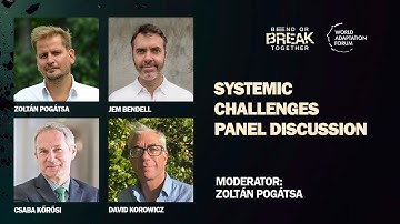 Systemic Challenges - Panel Discussion