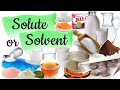 Science Quiz: Solute or Solvent | ANY 10