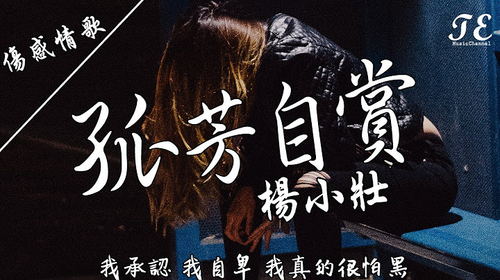 楊小壯 - 孤芳自賞 [ Something Just Like This ]【動態歌詞Lyrics】『我承認我自卑，我真的很怕黑。』 - 天天要聞