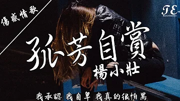 楊小壯 - 孤芳自賞 [ Something Just Like This ]【動態歌詞Lyrics】『我承認我自卑，我真的很怕黑。』