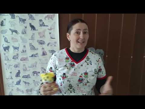 Video: Cum sa speli o pisica foarte bolnava