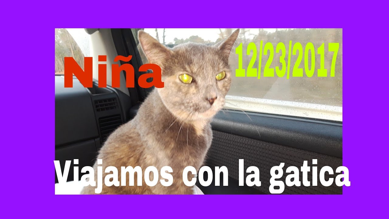 makeup artist VIAJAMOS CON LA GATICA A LA CASA DE LA PLAYA EN MYRTLE BEACH .12/23/2017 😘🐱🐺🐈
