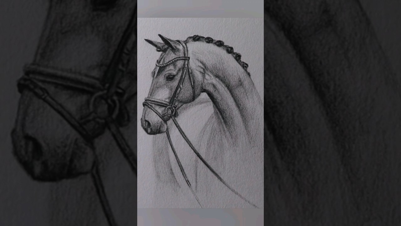 Desenho de cavalo realista que fiz a um tempinho😊