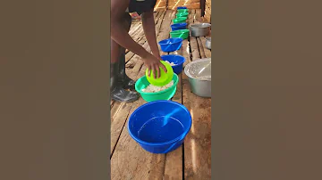 Kindly Consider Donating So That We Can Continue To Support These Dogs With Food Adoptstrays Shorts 
