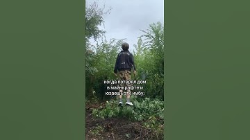 И стак алмазов впридачу. Автор видео: @hospiis  #комментарии #юмор #мемы