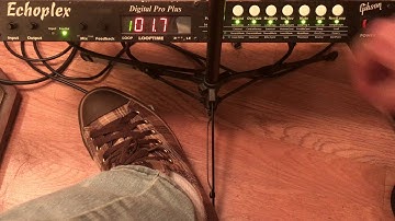 The "Output" Interface Mode on the Echoplex Digital Pro