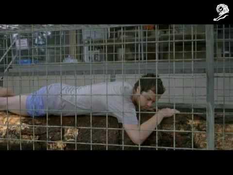 Gatorade: Replay