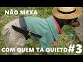 NÃO MEXA Com Quem Tá QUIETO!!! #3