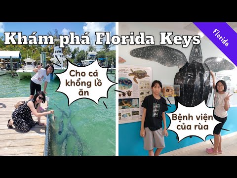 Video: 15 Điều Hàng Đầu Nên Làm Ở Key West, Florida