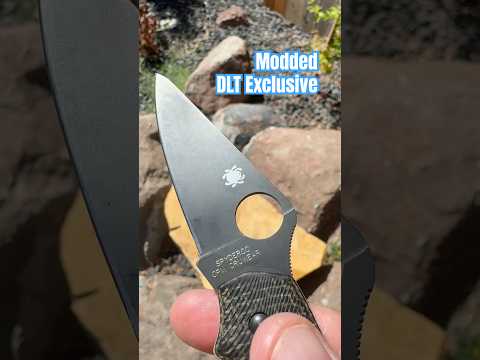 Spyderco September: Day 1️⃣2️⃣ - Delica 4  