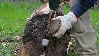 Splitting a Log Lengthwise with Hand Tools