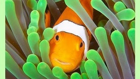 Easy Skype voice changer!