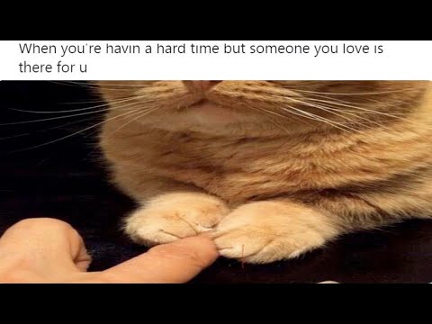 Wholesome Funny Memes thumbnail