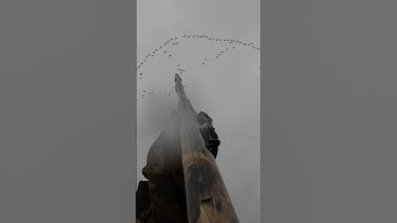 The ultimate skyblast #hunting#goosehunting#duckhunting