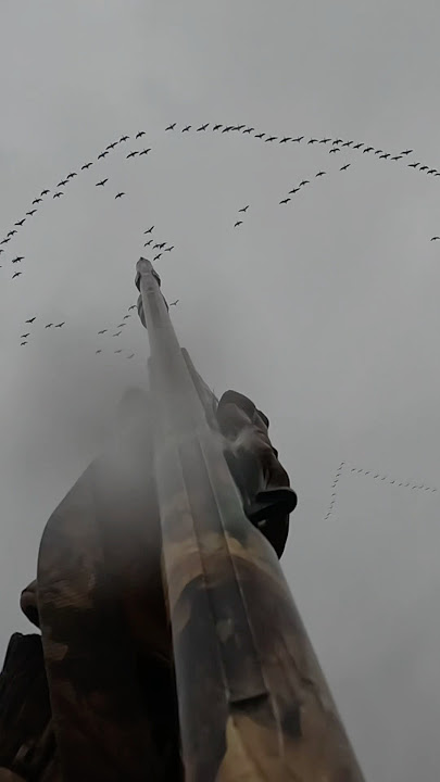 The ultimate skyblast #hunting#goosehunting#duckhunting