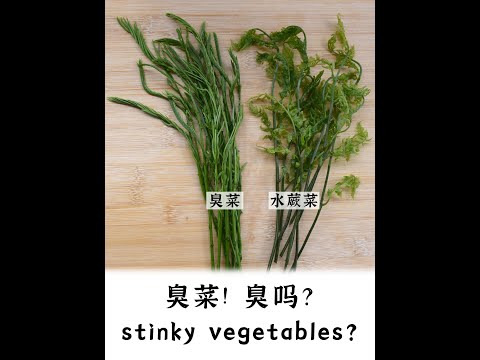 stinky vegetables and fern  臭菜 水蕨菜 云南特色野菜 中国美食 #shorts