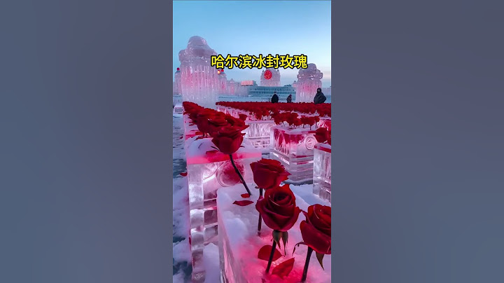 冰封玫瑰 属于尔滨的浪漫 Frozen Petals & Icy Towers: Harbin's Winter Wonderland