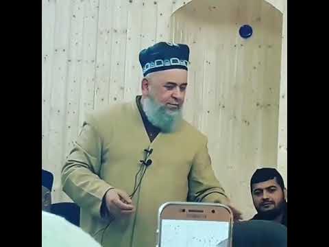 Захр бодо шири. Захр бодо шири. Шири эпплби. Заҳр бодо шири модар бар касе. Шири эпплби зачарованные.