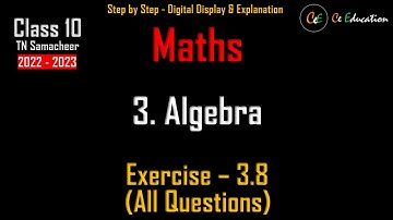 TN 10 Maths Chapter-3 Exercise-3.8 (All Questions) (Algebra)