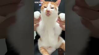 Https:youtube.com/Shorts/Imwzthzs1Li?Si=Qso_Fl1Jehilvjz3