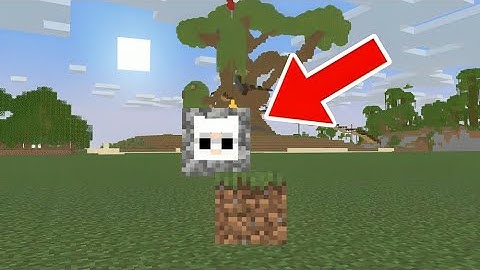I Shapeshift To Cheat In Minecraft Hide And Seek!