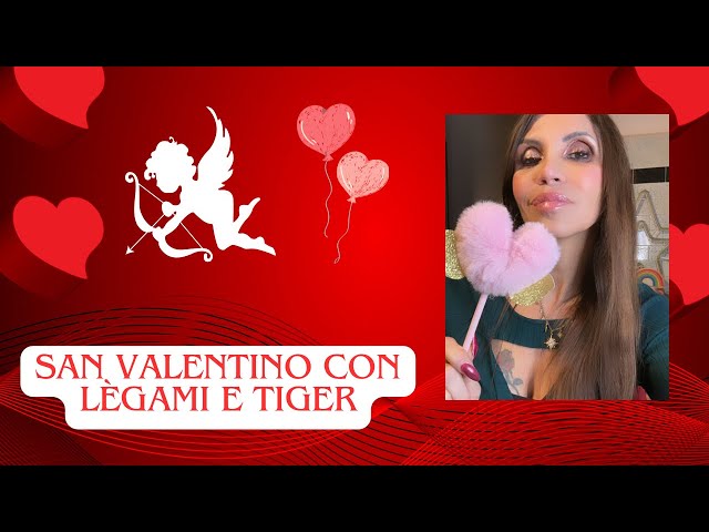 SAN VALENTINO CON LEGAMI E TIGER 