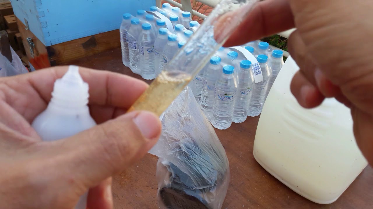 Σιρόπι θυμόλης για τη νοσεμίαση