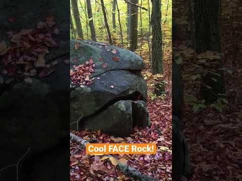 วีดีโอ: หินชนิดใดที่พบใน Adirondacks?
