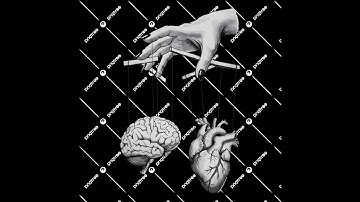 Intellect Is Instinct: Why Reason and Emotion Aren’t Opposites