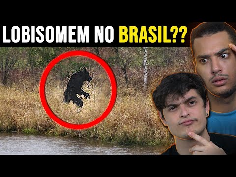 Vídeo: Você é um lobisomem?