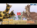 African Wild Dog vs Dhole | Canine Face-off [S1E4] | SPORE