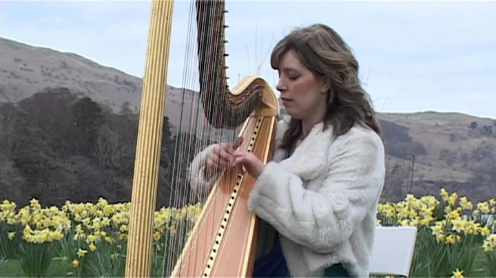 Alison Horn - Hallelujah