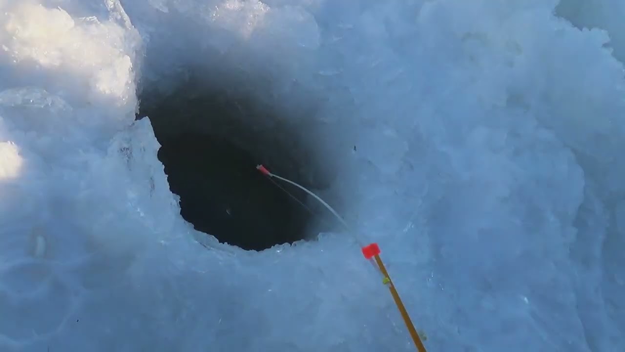 Жерлицы работают