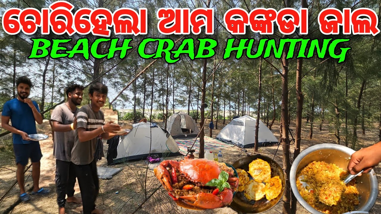ଚୋରିହେଲା ଆମ କଙ୍କଡା ଜାଲ 🤬 | Crab Hunting Ft. @TRIPTHEWILD   #odiavlog